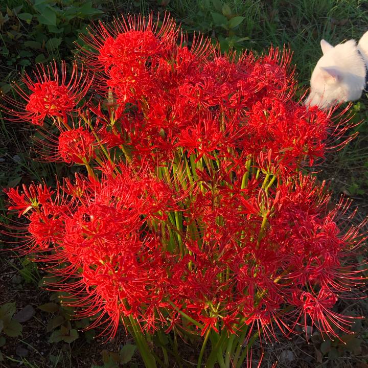 7299c99c d279 4664 97ce 72103f926891 1600651353653