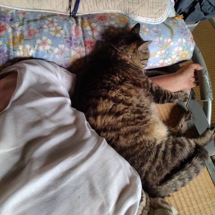 7299cc21 0559 48c0 bbd6 9463d592744a 1720329108439