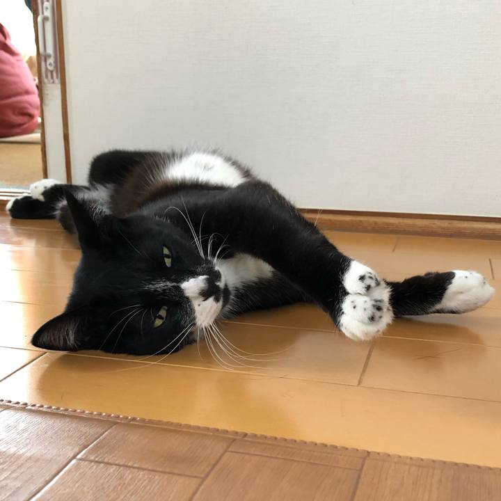 7299cda8 1de6 438b 8eda 4504012408b2 1565931199067