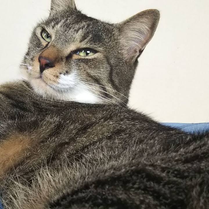 729a4d81 232a 4ded 9dd1 bd2e11ecbc74 1615018153952