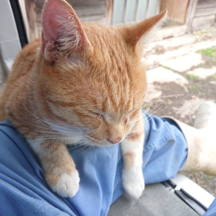 729a5fd7 e1cd 4ab5 9102 cb478c980512 1571552369163