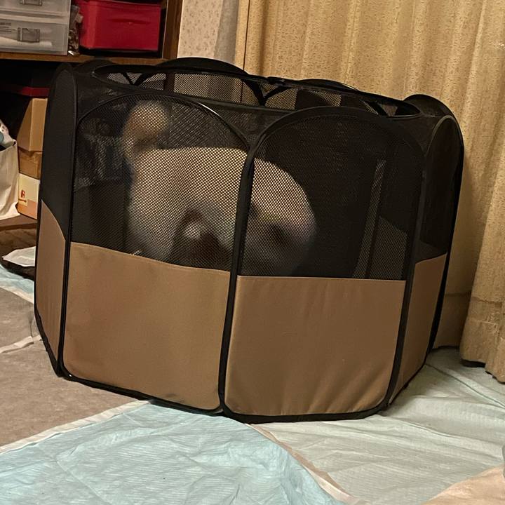 729a6263 024f 4993 963d ab8085ac61df 1642434791108