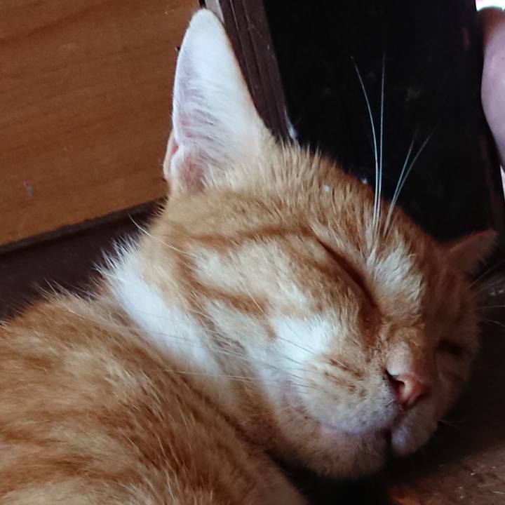 729a67e1 aef8 4c82 9928 243f30cd2e2a 1565747014768