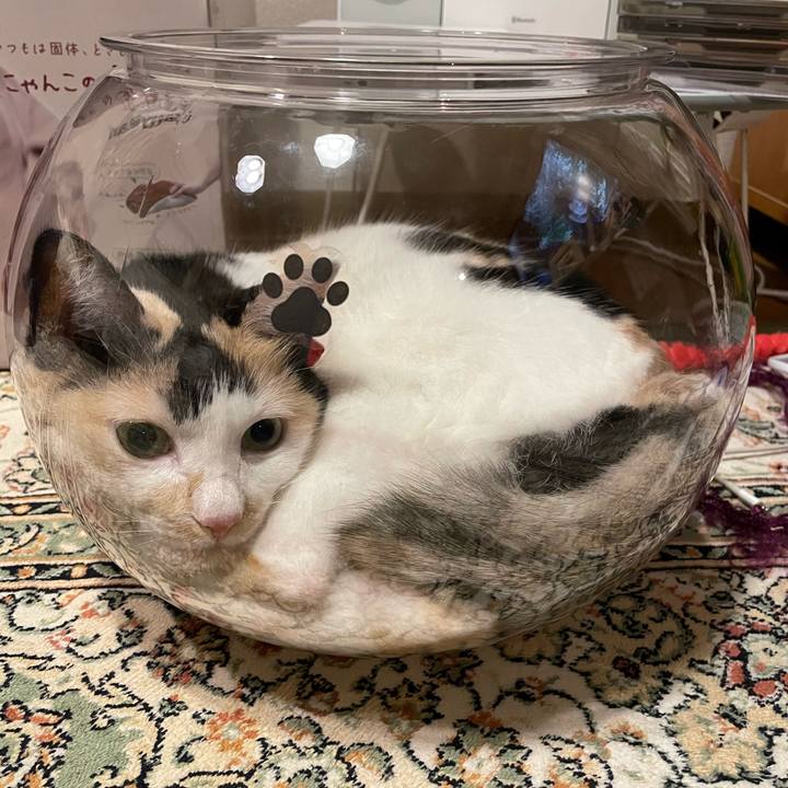 729a9b5b 0ddd 4084 965b 2c0a41d66bfa 1721748657164