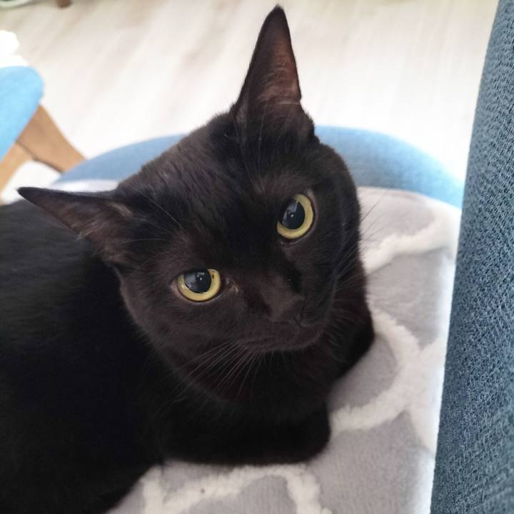 729abfed e97c 4fe9 be36 6d850cacb6ad 1700691069852