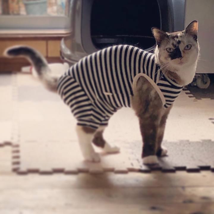 729ae7ae deb7 4bdd 8f1a 54028be334e5 1670027790737