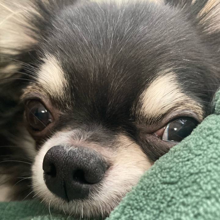 729b47b6 115c 4ba2 863b 9e9165922f79 1604098429460