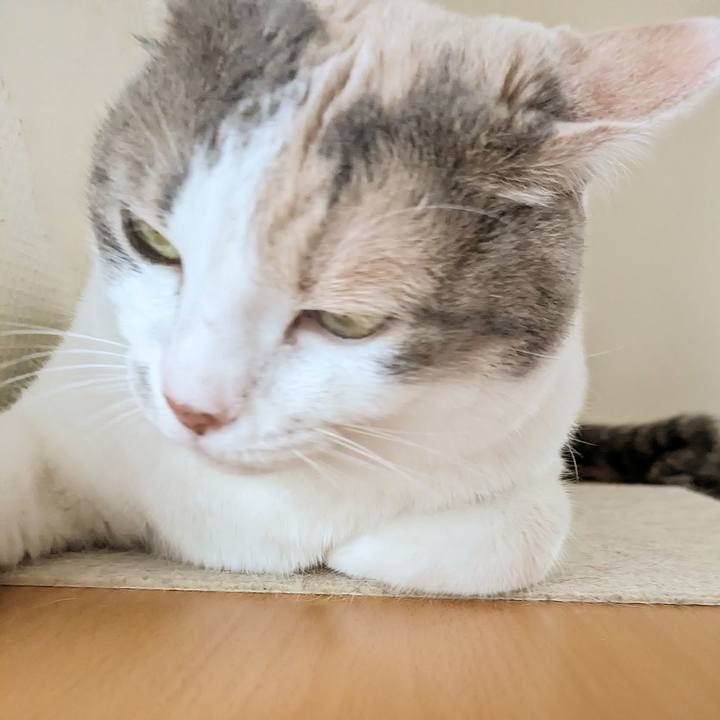 729b6c3d d2b1 4ae6 a643 710df174d4ed 1694146251885