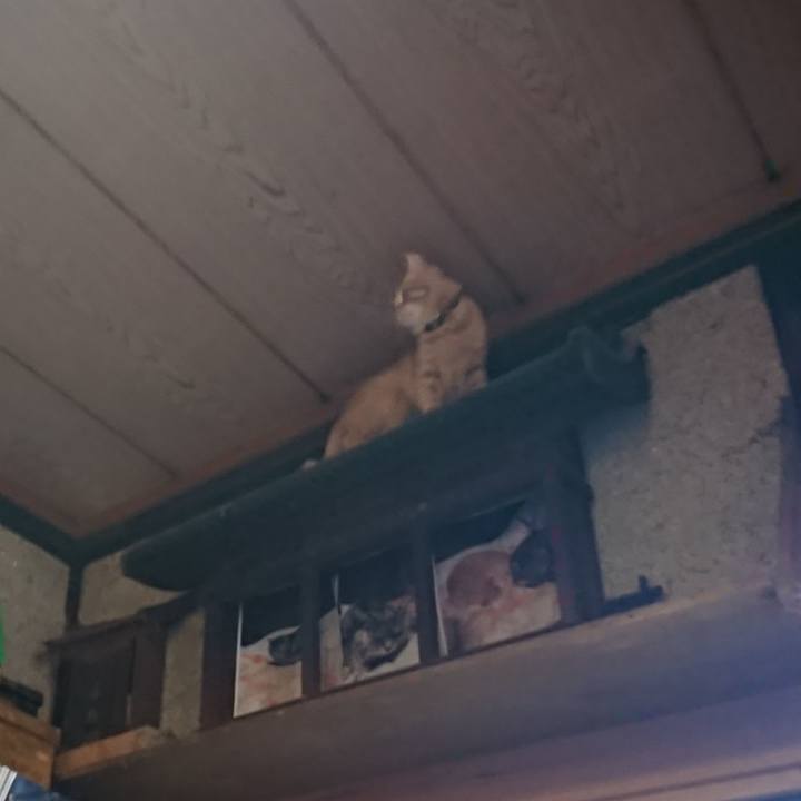 729b9b11 cb38 40ba 9dee bc6ddb3c78b1 1650405515386