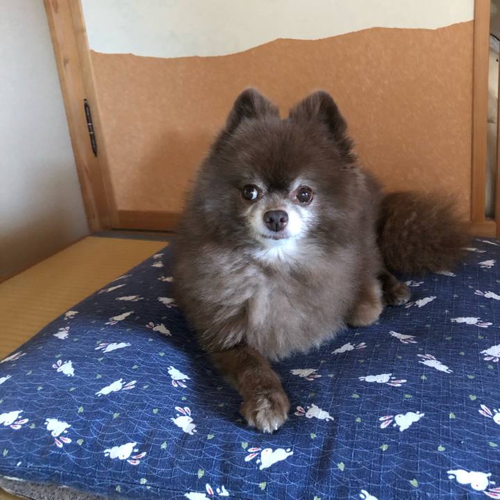 729ba13f a020 41bd ac62 bd0916477222 1630646266449