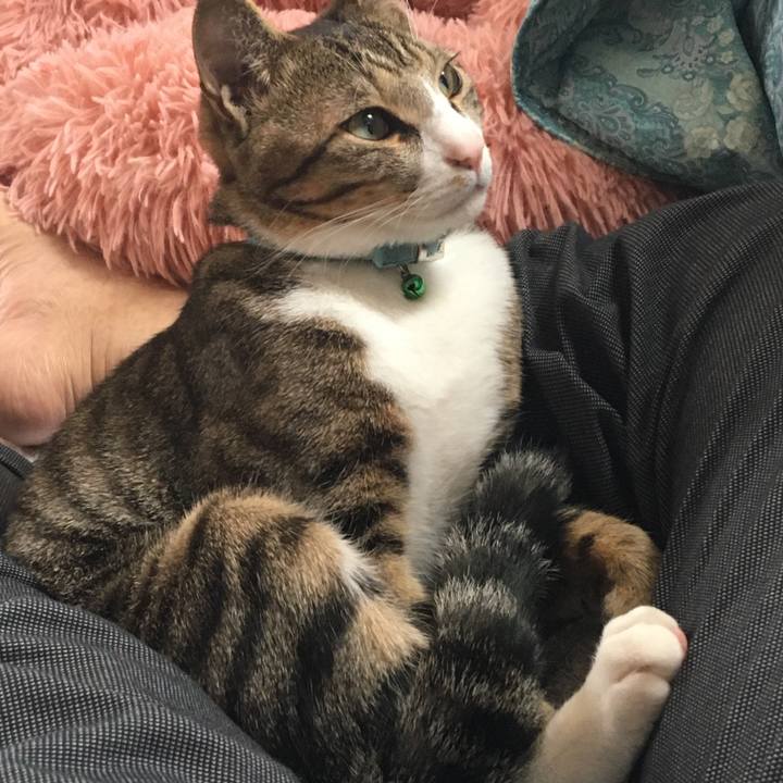 729ba6ce e267 42bf 9e01 e25a9fb904c0 1667995659660