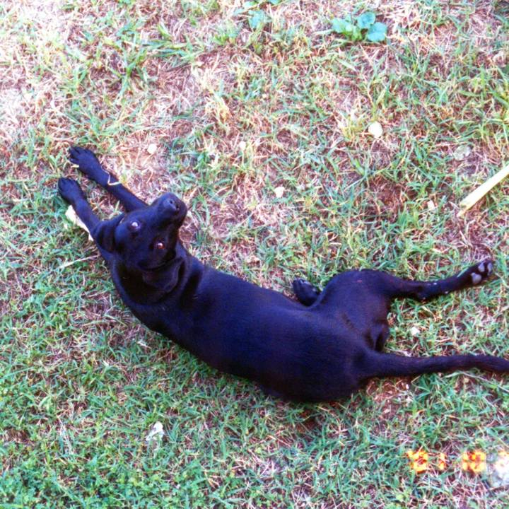 729ba91f 3054 456a a27c 6aa99e719083 1519792924713