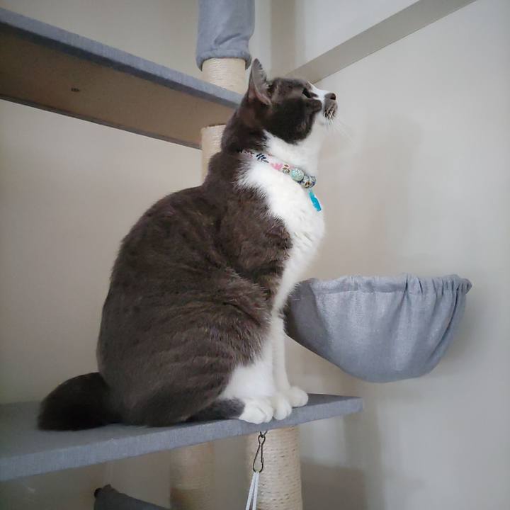 729bc2c9 a617 4010 abe8 db135d608794 1681871163360