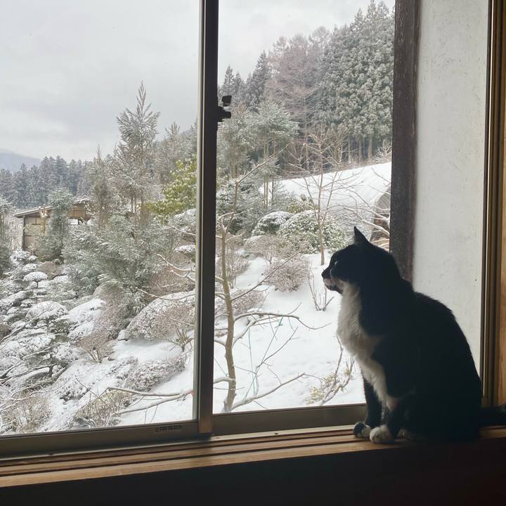 729bd8df 97c8 4234 a9bd b38b6e4fa070 1708657589247