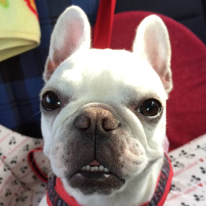 729bf13f ec55 4206 b703 7b129547983e 1526121978844