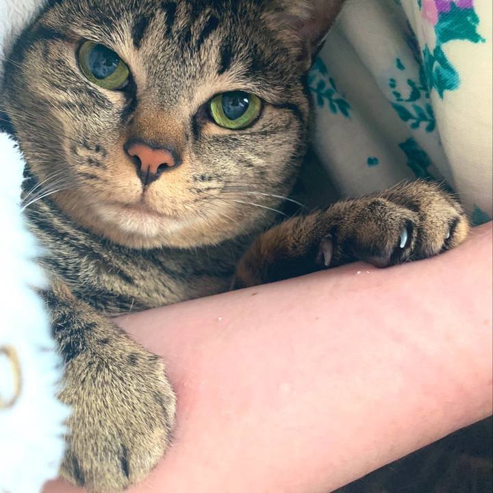 729bf359 823e 4cdf adf9 236372c4a5b9 1582005532239