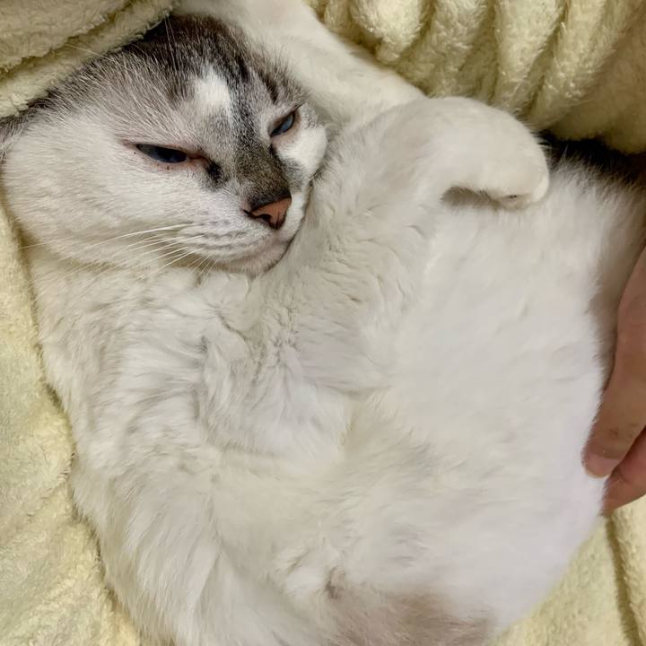 729c077b accf 4170 ab7e 579376841536 1631492659343