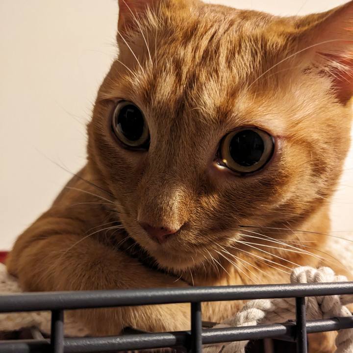 729c4d09 92f1 443b 8b25 4fea62c5d9fb 1690498065944