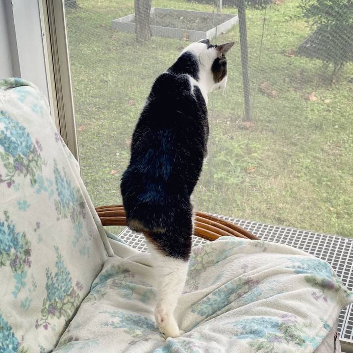 729c745a 6707 4ce1 bd41 93047957f93d 1603340363406