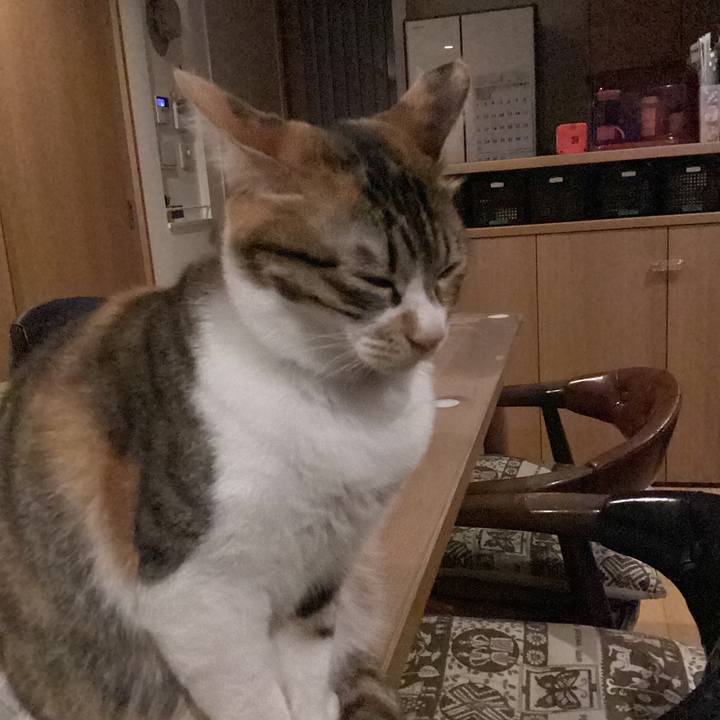 729c7c24 a582 4bf8 924c 522ad791cf73 1681494802557