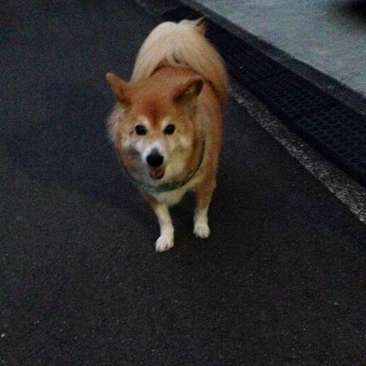 729ca2c5 8207 48cb 92c1 ed1733b7aece 1538999904499