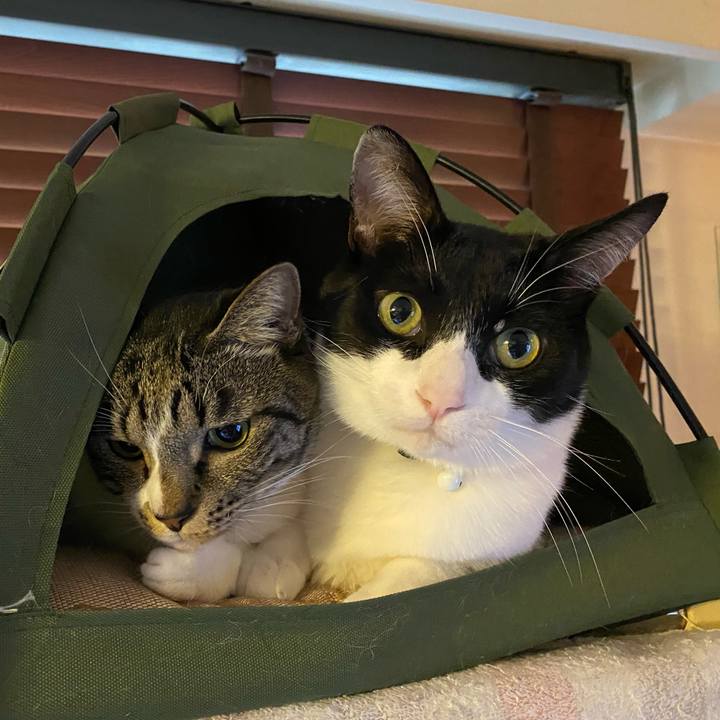 729cba94 0aba 464b a79d 20b9d8c617cf 1749125301031