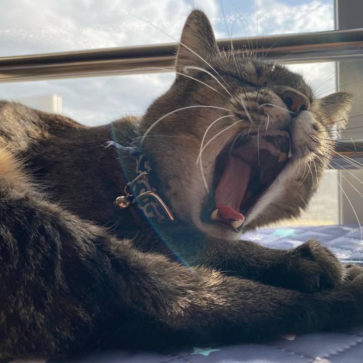 729cc112 8ce1 4e03 9dbb 21630b9dc9b7 1604213153474