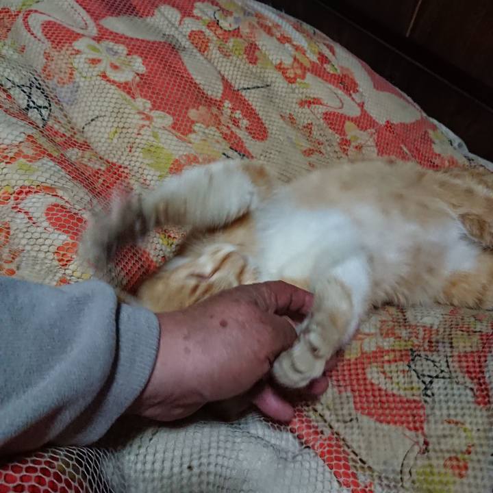 729cd516 bbc7 4a3d 8a63 2321ab62925c 1557143890863