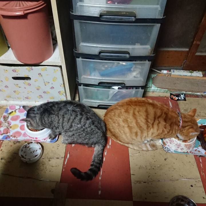 729d1b1b 0e0b 4241 b4f6 102150a215e8 1574970800403