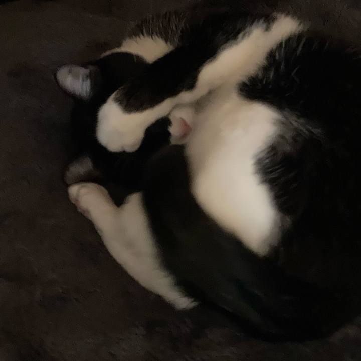 729d6408 8cc0 456d b883 0b8adeae3c65 1647567139417