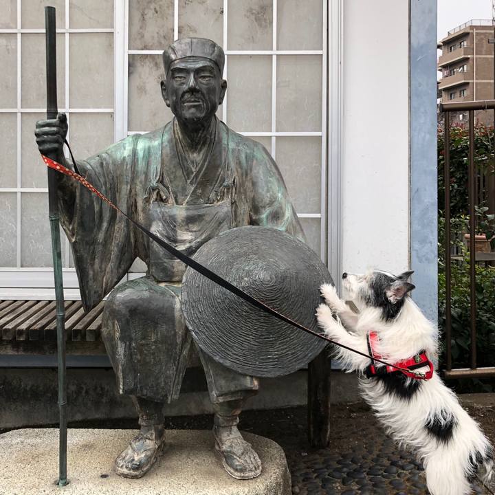 729d68a8 be58 41c4 94ad a5256461fc9a 1600091827808