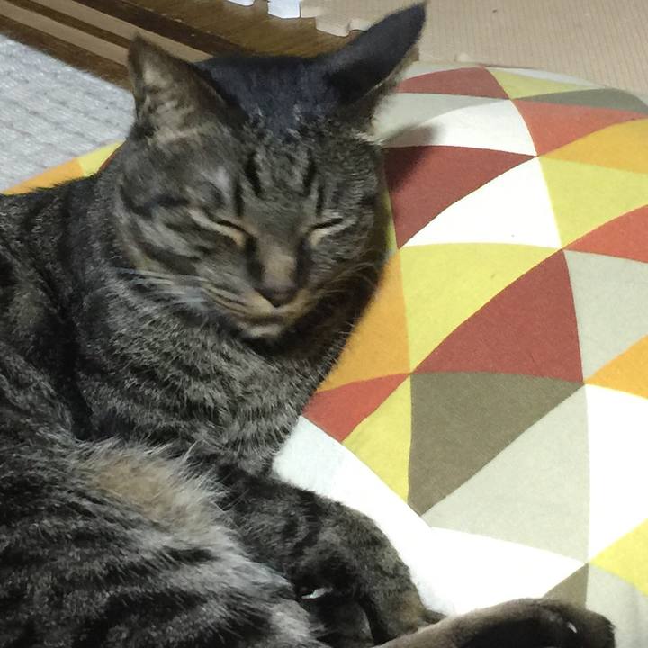 729d6f52 a8d9 480f 9ff6 b0042d7db655 1525229461391