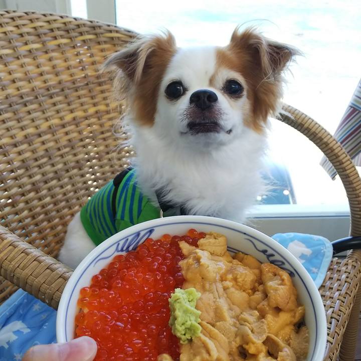 729db069 61ce 42a6 9b40 c646828623aa 1533440582638