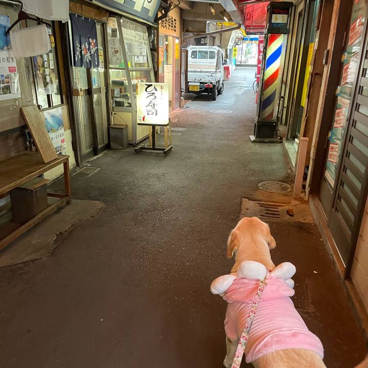 729dc7db 218b 4cf5 bb13 1954984f3a39 1638533000731