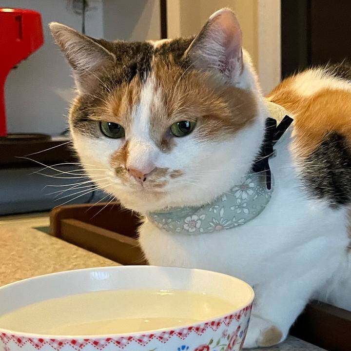 729e01d9 2bbd 43f3 9326 f567bc9bb0f1 1670212014135