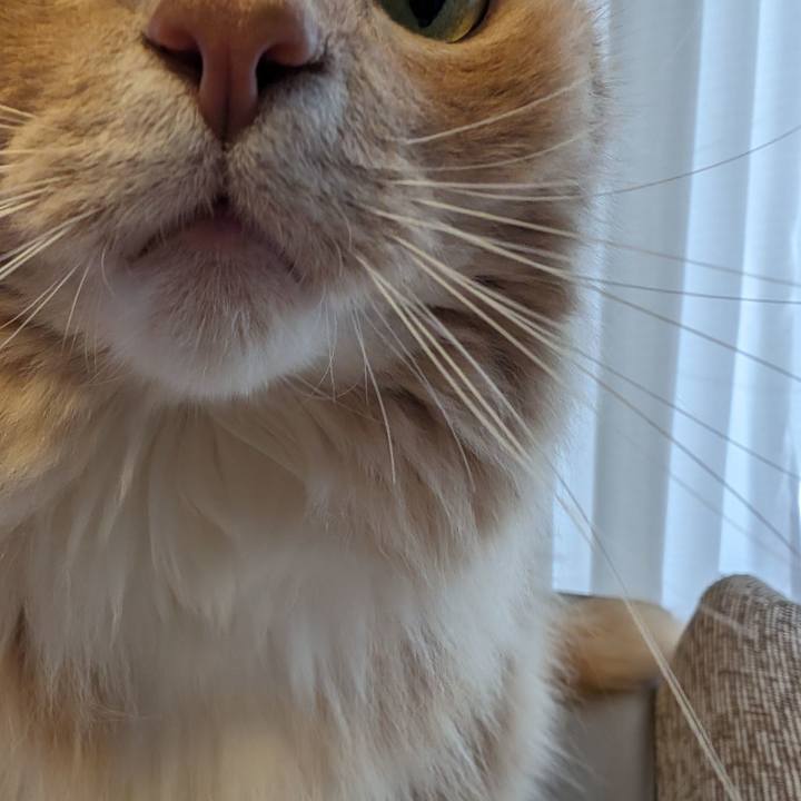 729e08cd f3c2 42b7 87da 3153b107df35 1711501512721