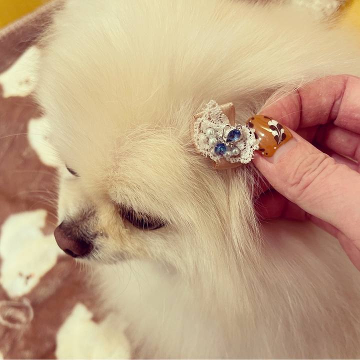 729e427e 8069 4c69 a42a 5a2859b04026 1644575263905