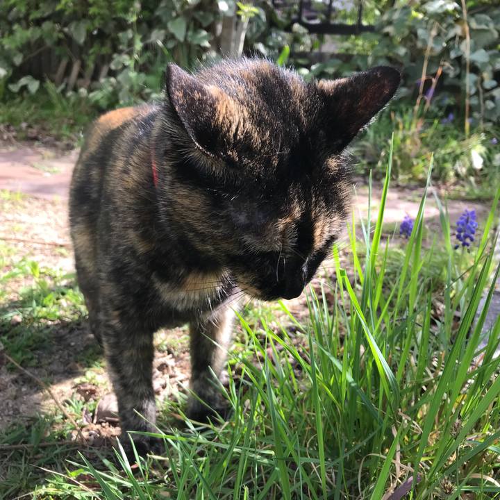 729e707b 3265 4f43 a74d e1223e7472fa 1523491103641