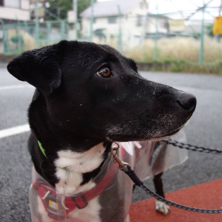 729e9c35 1aff 42f8 b969 77f298c4852f 1622072867599