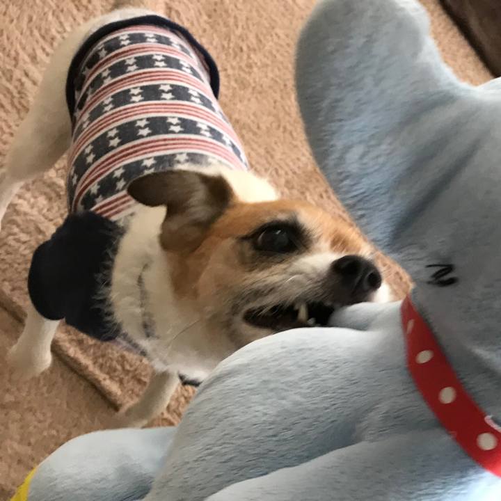 729ec9bf 47c1 4841 8693 734cac01839a 1561433104187