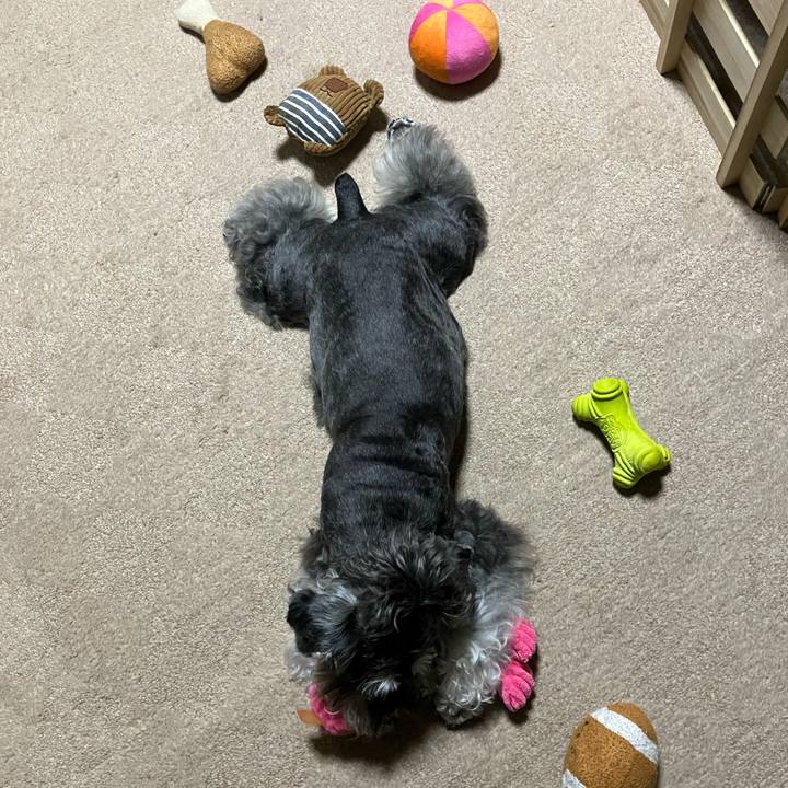 729ef431 9038 4e7a abb6 1ec7671a16a4 1719122115673