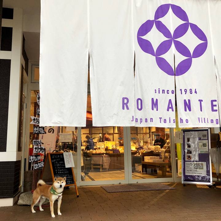 729f654c e7e4 4d53 944f db8aa3c36189 1553152811946