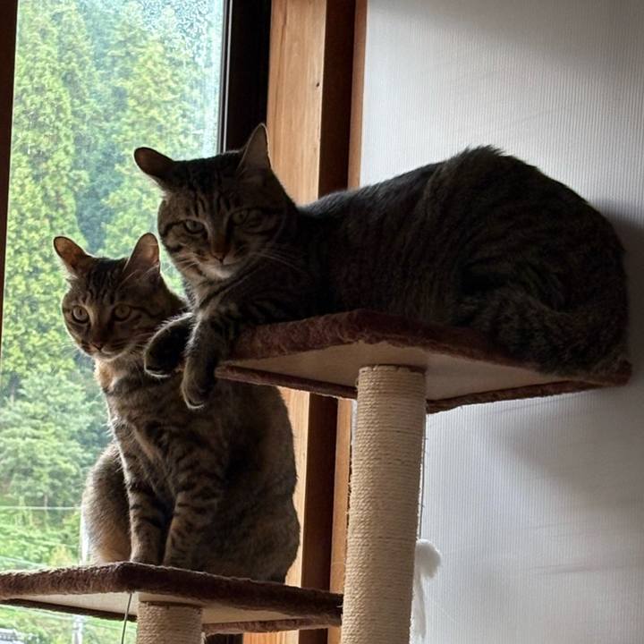 729f6768 b3c5 4c79 a247 50859cff6e62 1760915161200