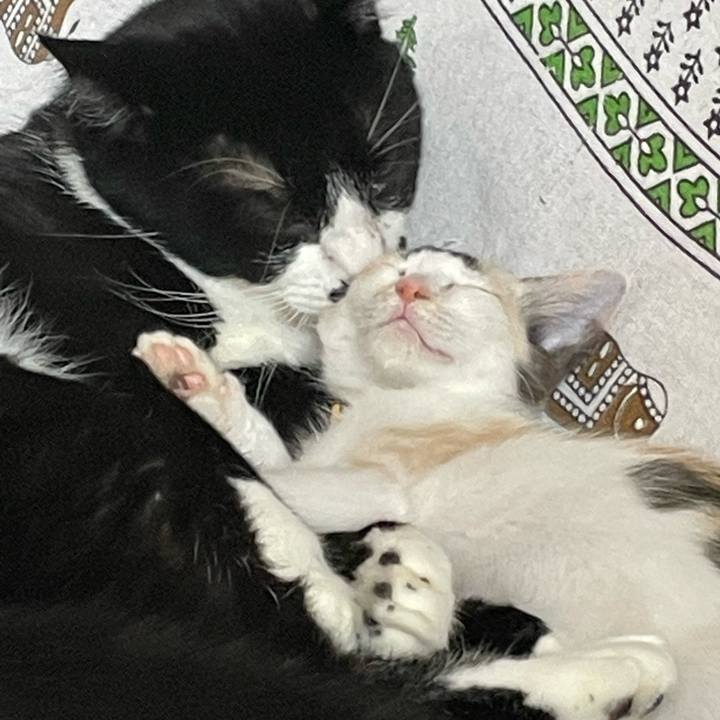 729f78e1 c763 49ed 87b8 03176e0e9483 1658377500170