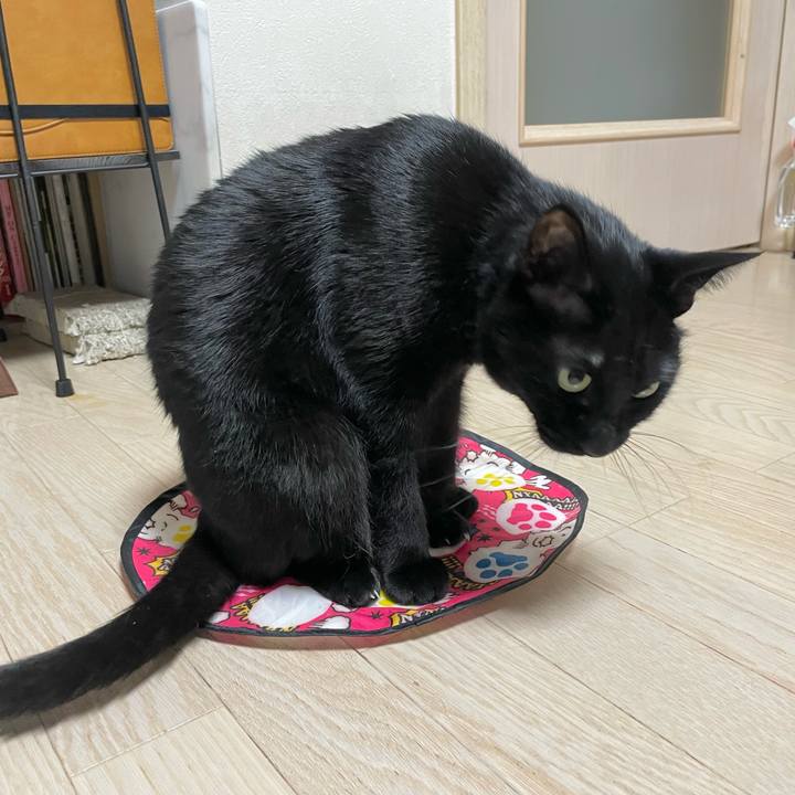 729f8255 2a72 48fa 8a57 ef6d527cf531 1644841730479