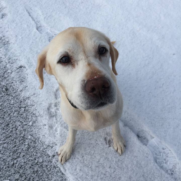 729fad47 33cb 4d45 8e13 5e6ac61e62bb 1660227755154