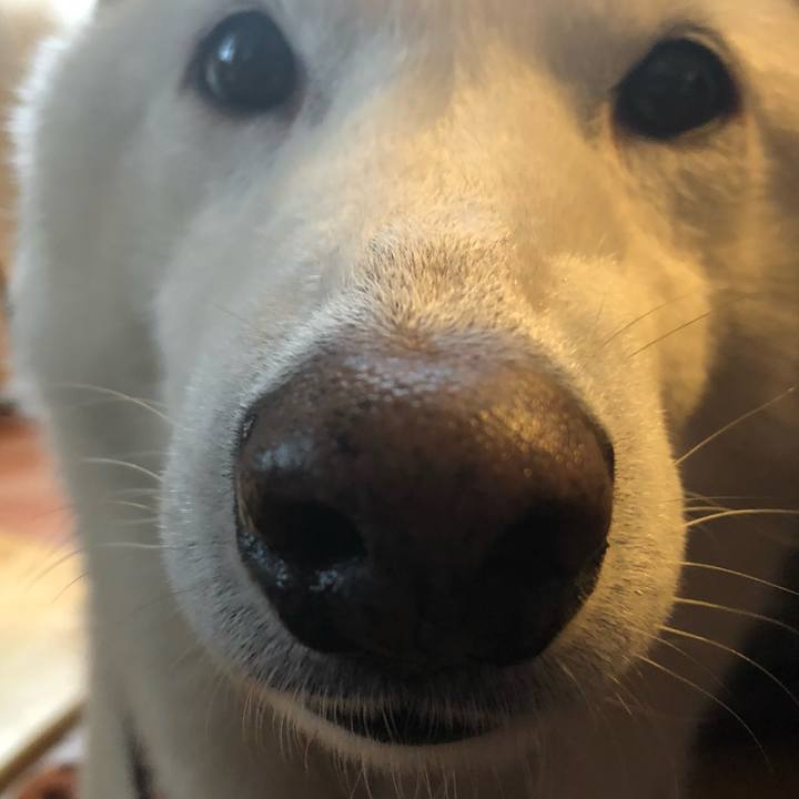 729fd59b 3e70 4f96 9ed5 6ceba2949aad 1639787364077