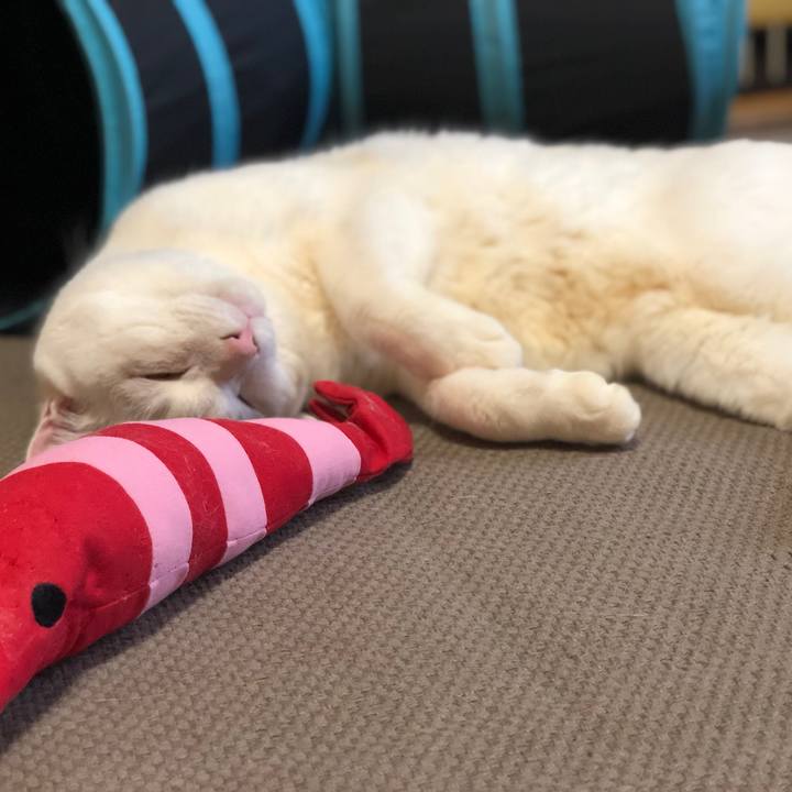 729fdb47 dc33 4935 a2fe b5220787df5a 1642905282328