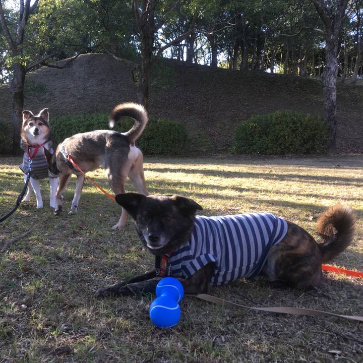 729fe5d2 c06a 4d0f a8c2 542e30fb250c 1516443056811