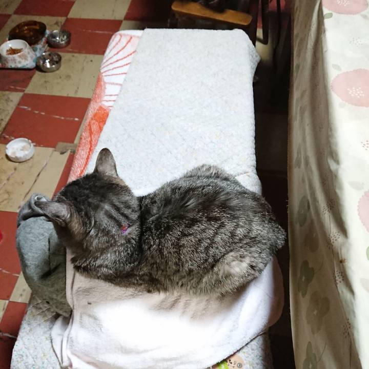 729fe653 2f93 4cd4 ac23 577da8ccb416 1585167047842